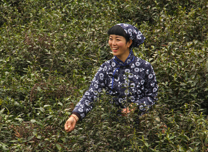 恋秀影视
